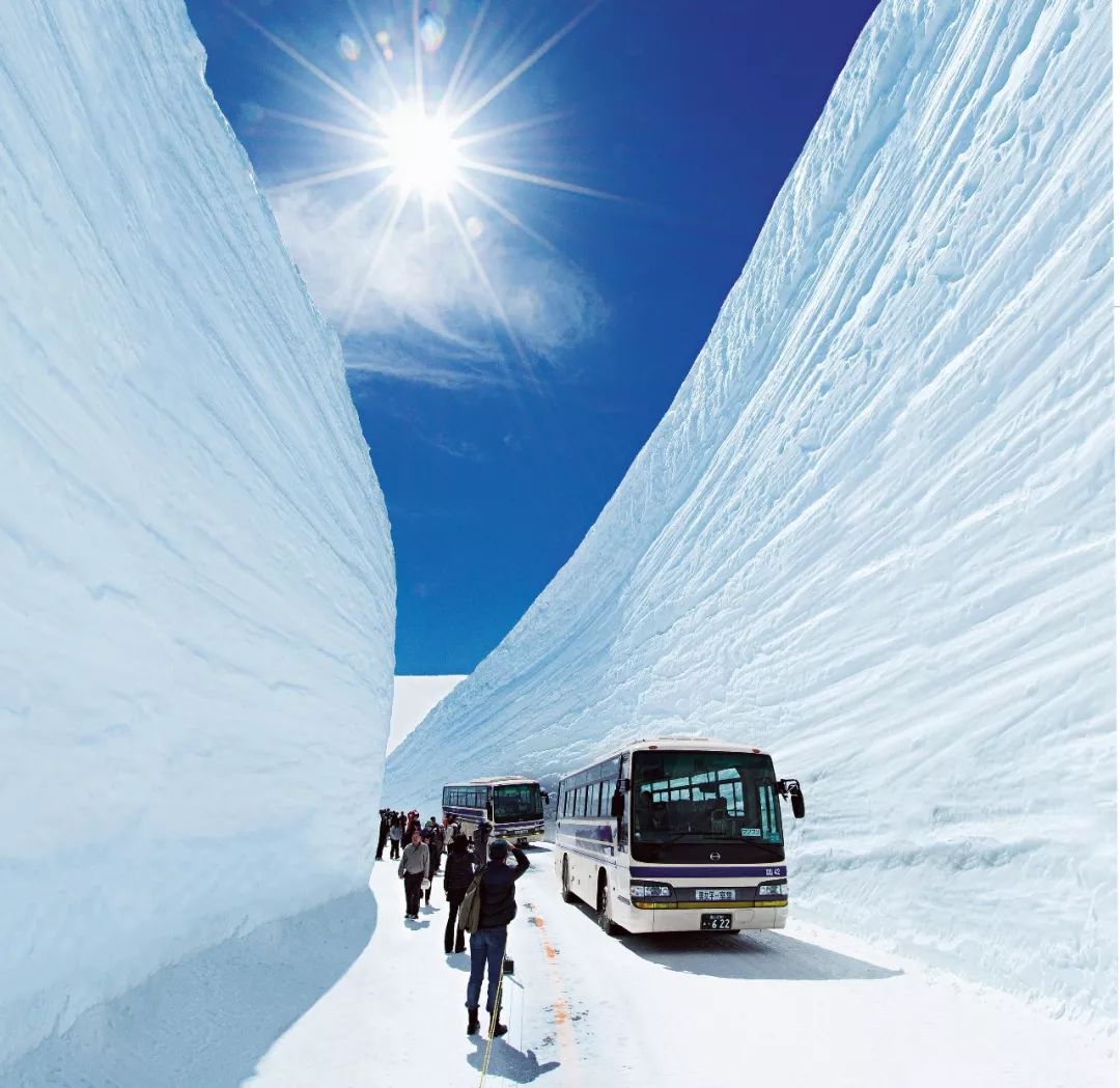 去日本這九個絕景勝地，賞花、節慶、雪景一次到齊！ 旅遊 第24張