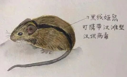 #西安出血熱#上了微博熱搜第一