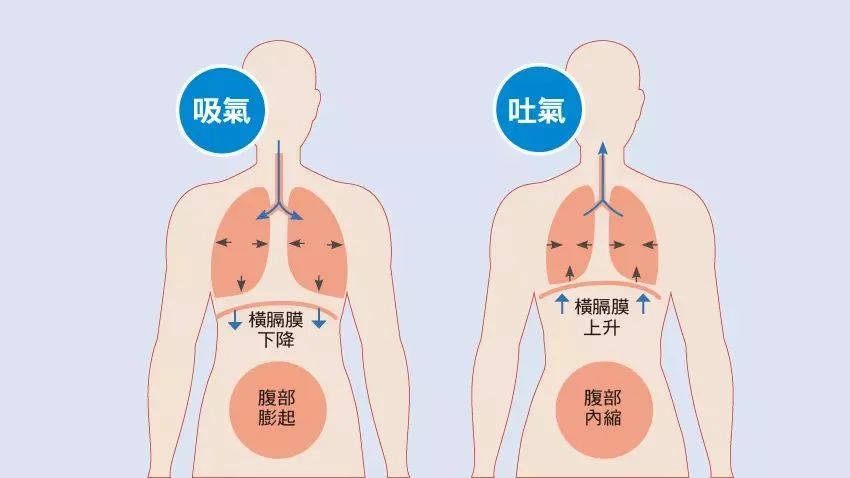 教你一招超实用的呼吸技巧,让孩子唱歌不破音,歌声更动听!