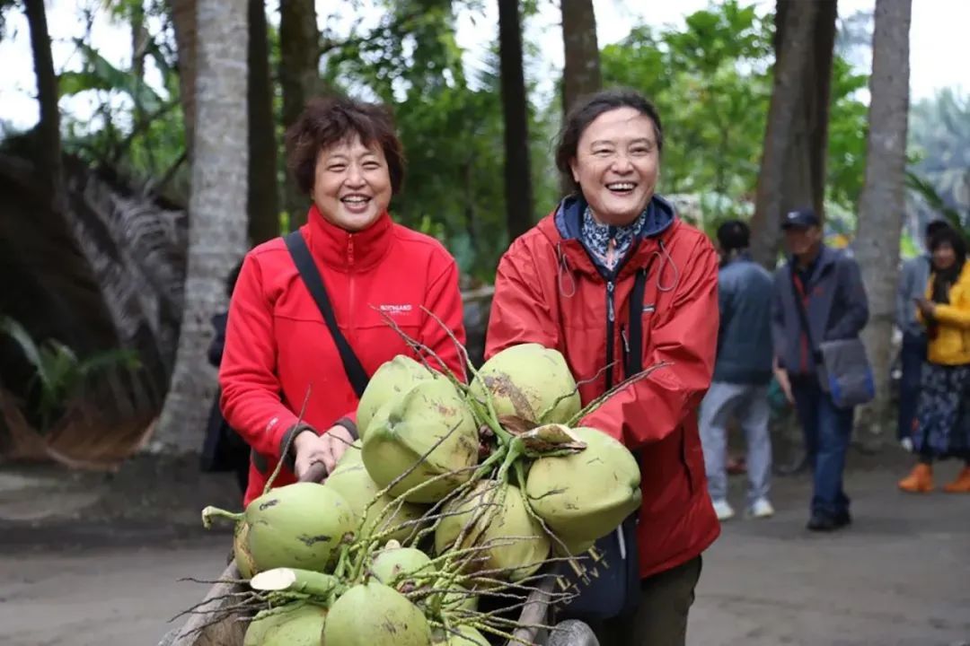 春节手抄报边框