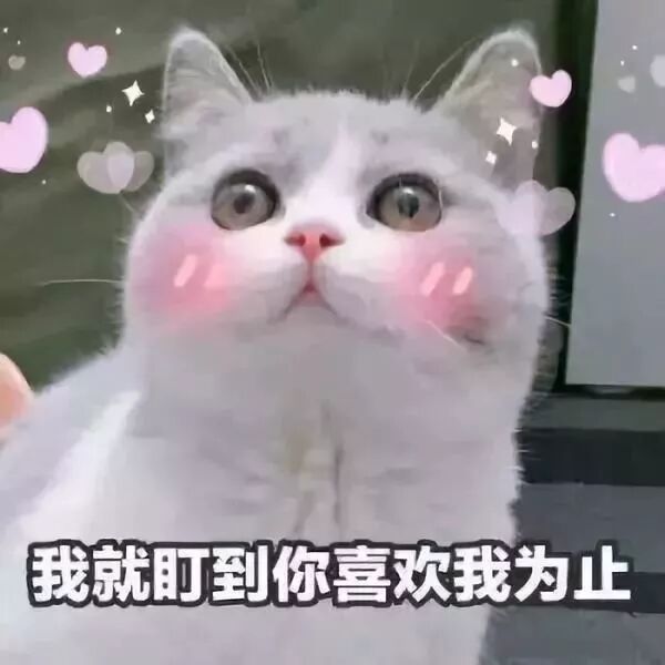 婚礼歌单，写给备婚的你！