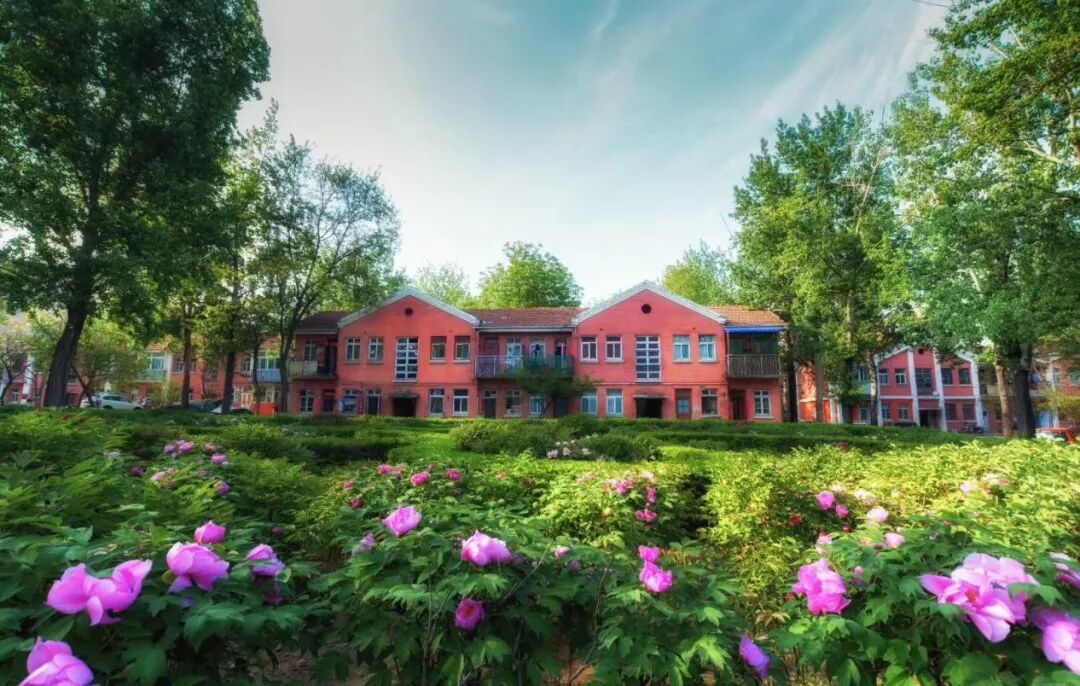 深圳城市大学与深圳大学城市学院_深圳有哪些大学二本大学_深圳大学为什么这么火