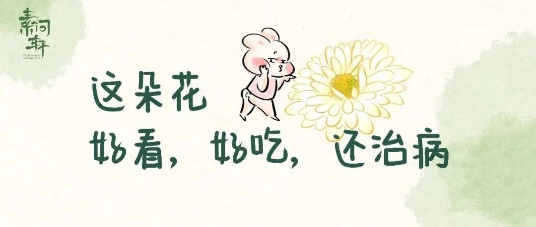 这个秋天最好看的花，原来在春天有这么多妙用啊！