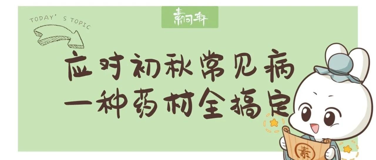 初秋常见几种病，每天泡它喝就行！肺清了，肤白了，好处多到数不完