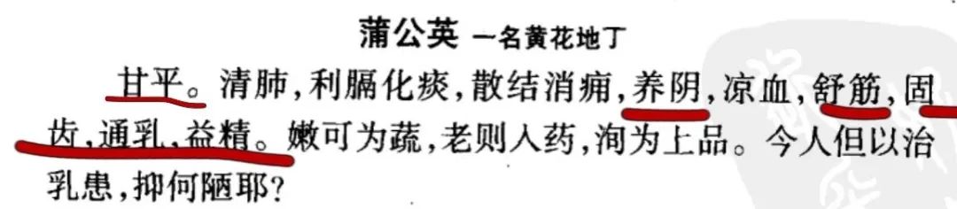 這春天路邊的野菜，99%的人不知道它能補脾和胃、烏須發，壯筋骨還是天然抗菌素！ 健康 第5張