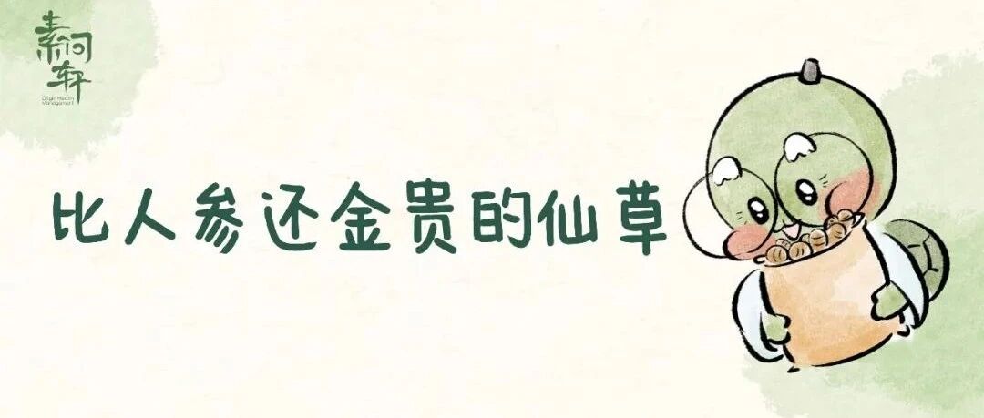 这东西比人参还金贵，长服滋养五脏还延年益寿！堪称“仙草之首”