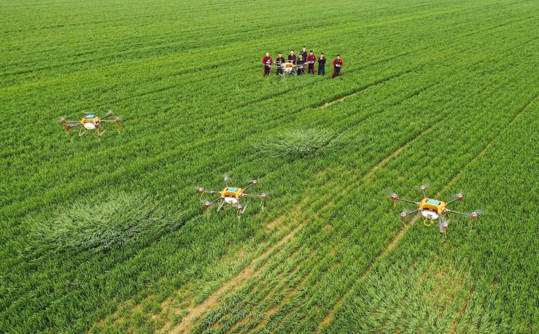 安徽省上面是哪个省_黄山市属于哪个省_看一下安徽的