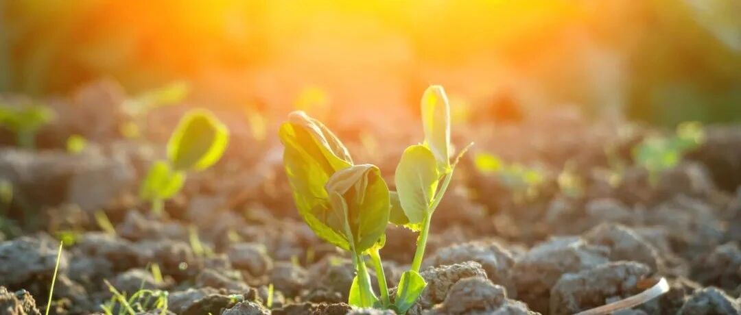 经观社论 | 2022，迎接一个新的春天