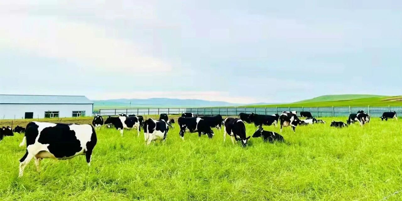 中国乳品工业：更要跑赢在创新里