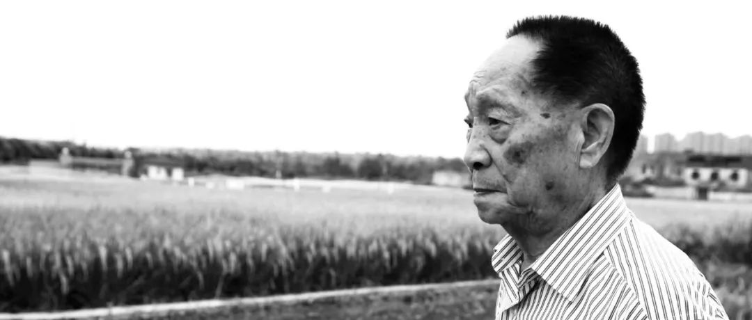 送袁隆平最后一程