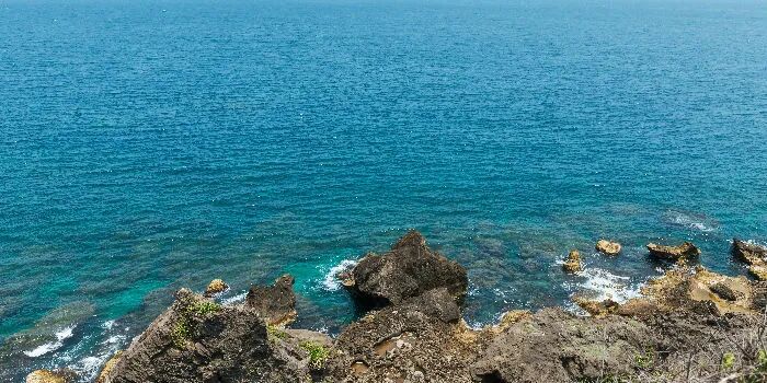 伟伟道来 | 协防台湾，美日心有余力不足，理也不足
