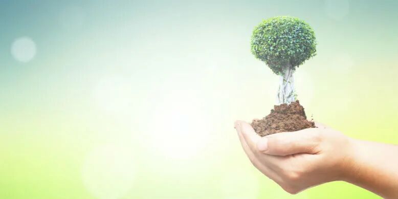 环保产业迎来双碳机遇 会是PPP“陷阱”后的增量崛起吗？