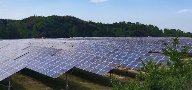 东旭蓝天聚焦产业优势 助农增收走出双赢之路