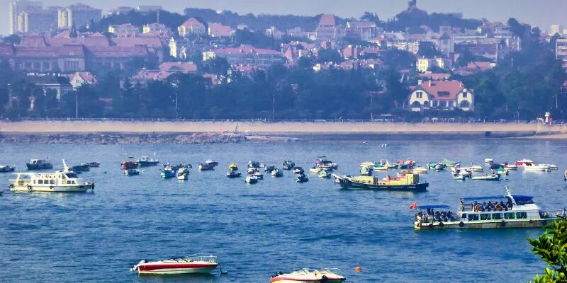 山东举办“与世界500强连线”韩国专场：23个项目签约总投资8.2亿美元