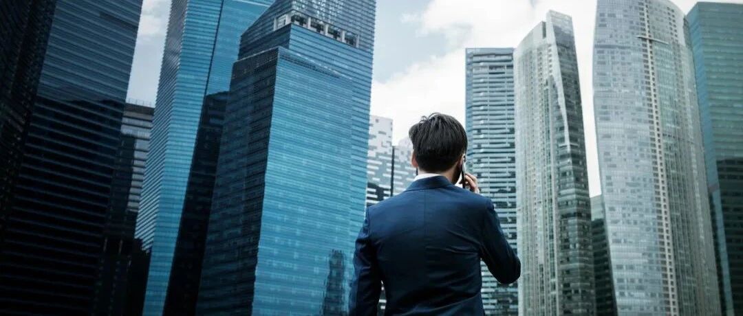 买手顾问栖枝越南