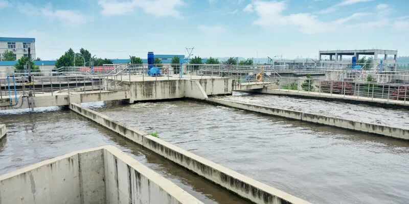 金达莱的下一步：从FMBR技术升级到布局国际市场