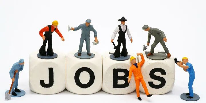 街道办“批量采购”清北学子 光有“你情我愿”并不够