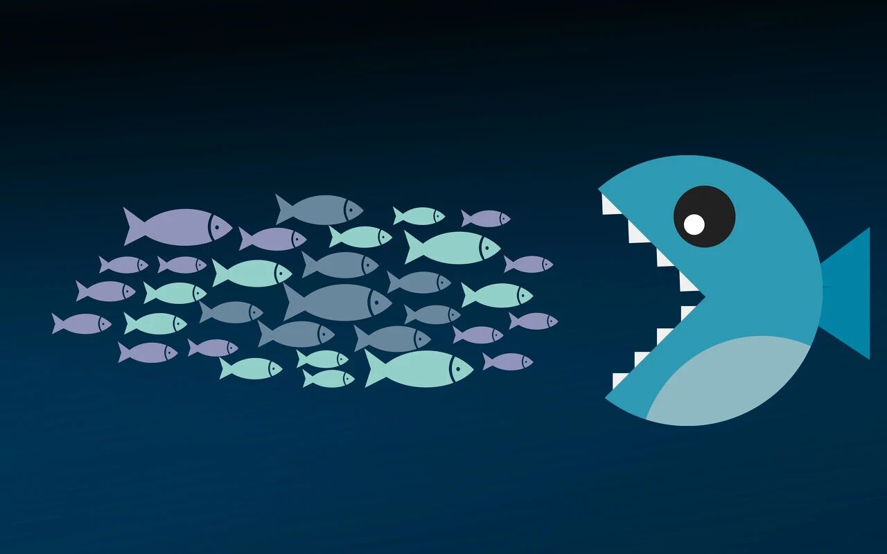 公司帝国：财富分配与权力转移