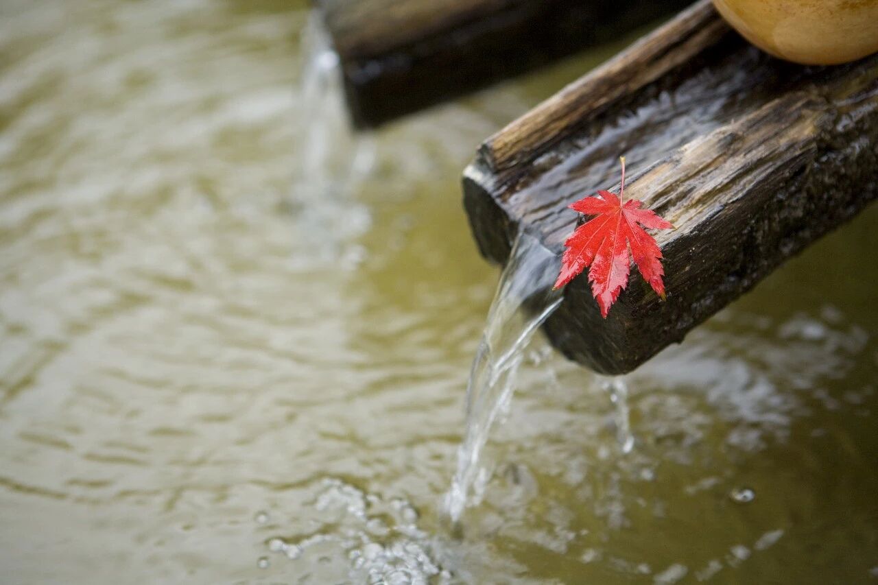 思想者共和的历史景观