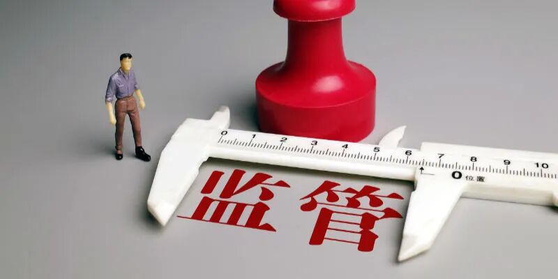 监管重锤落下！艾格拉斯13名高管合计被罚1830万元