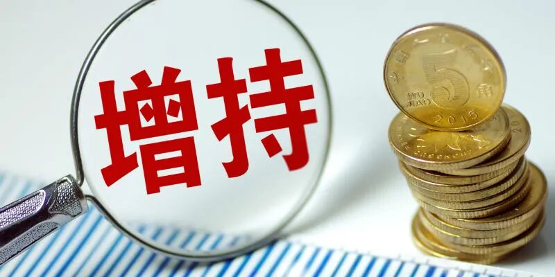 杨惠妍4个月内29次增持碧桂园