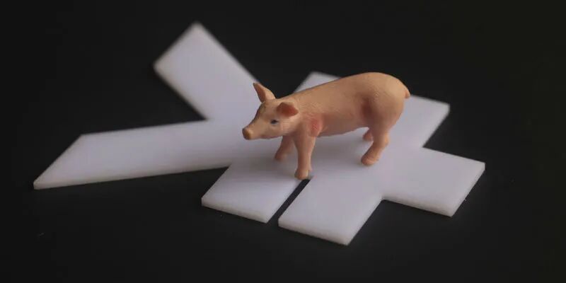 生猪产能迎来释放期 养殖规模扩张引发行业产能过剩担忧