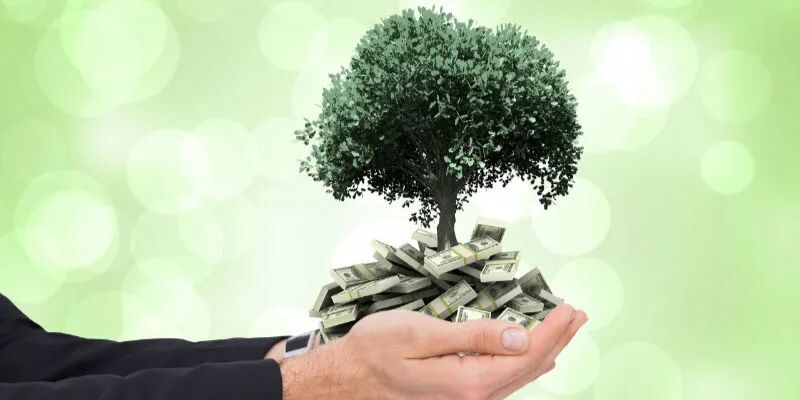 深圳绿金协会秘书长陈海鸥：呼吁金融机构参与绿金服务平台的建设