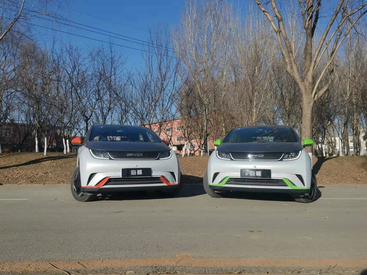 磷酸铁锂电池冬季续航受考验 比亚迪海豚何以破解难题