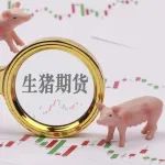 因生猪期货套保巨亏等事项,金新农遭深交所连发十问