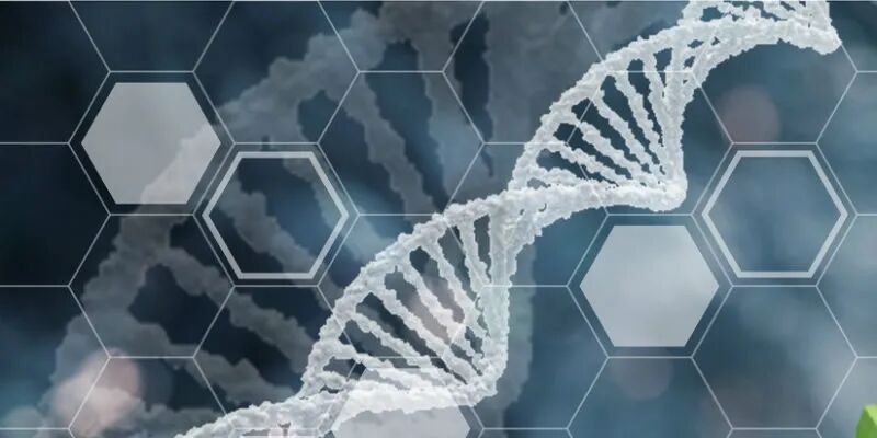 填补急性髓系白血病精准靶向治疗空白 基石药业IDH1抑制剂拓舒沃获批