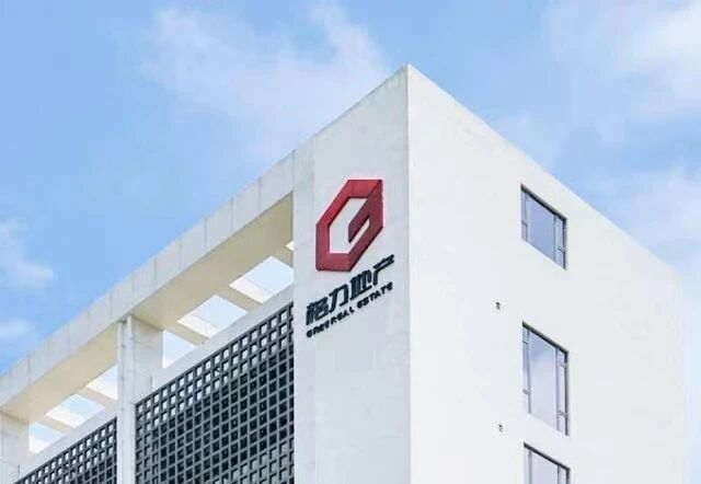 募投项目现成效、股东权益未受损，理性看待格力地产30亿定增信披违规