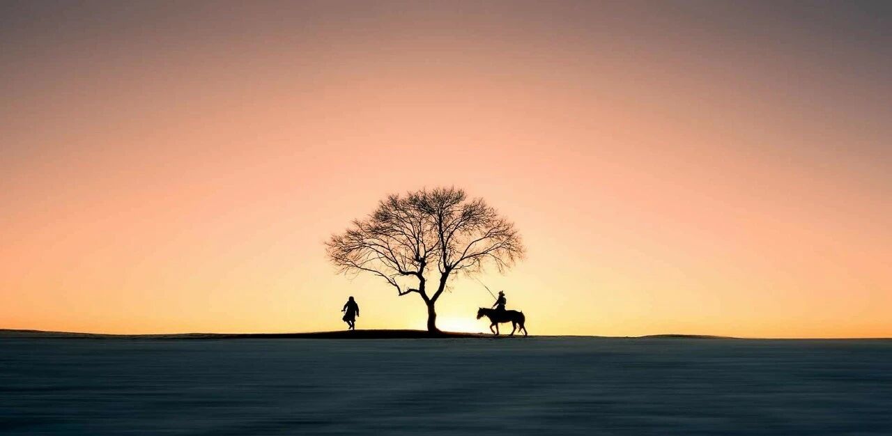 玄奘：一个偷渡的思想者（下）