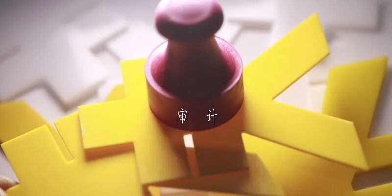 2022年审计政策扫描：看审计部门如何做“经济体检”？