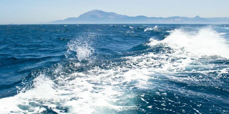 台海观澜 | 今日阿富汗，会不会就是明日的台湾