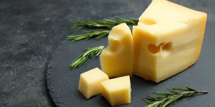 创新奶酪基地项目开工 妙可蓝多将拥有国内最大奶酪产能