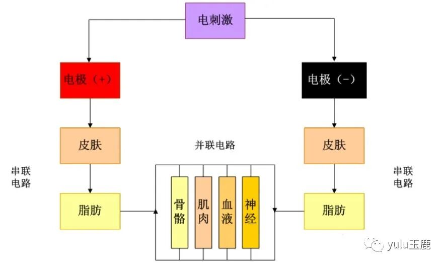 中频为什么能镇痛收藏：关于中频电疗非常客观的一篇科普文章_https://www.jmylbn.com_新闻资讯_第1张