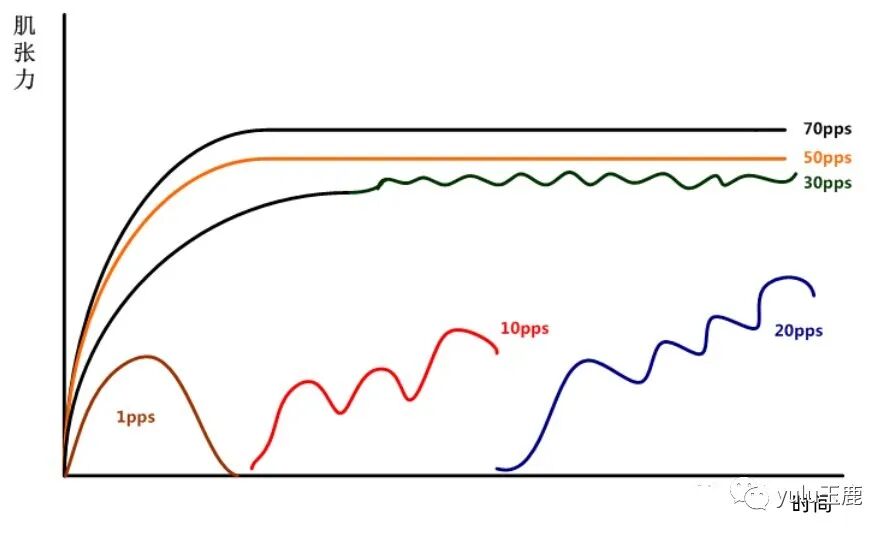 中频为什么能镇痛收藏：关于中频电疗非常客观的一篇科普文章_https://www.jmylbn.com_新闻资讯_第5张