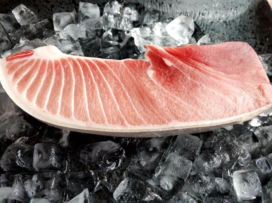 販売1周间500份达成 澳洲蓝鰭刺身寿司系列爆卖天河北 食男食女 微信公众号文章阅读 Wemp