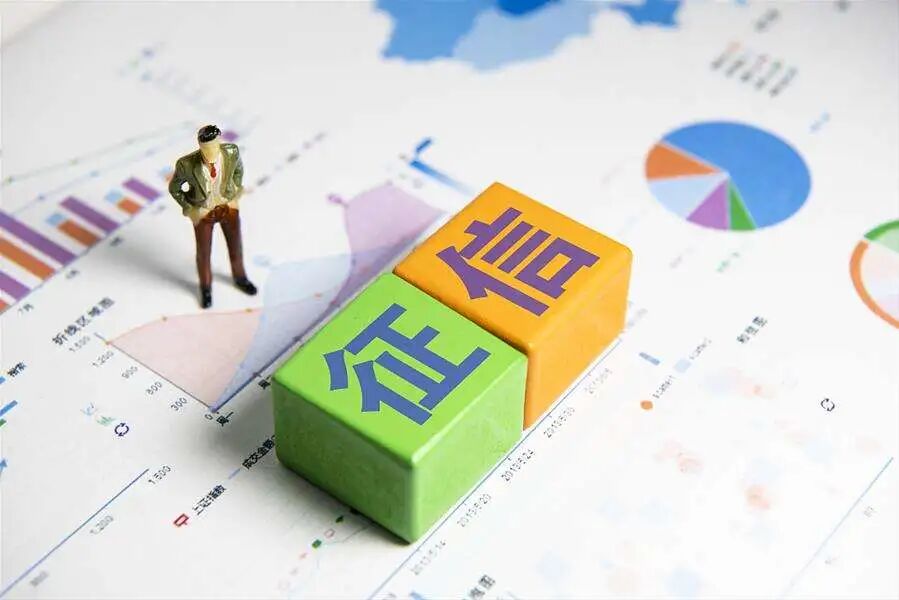修改个人征信记录有哪几个途径呢怎么查（个人征信查询结果怎么看不到)插图1