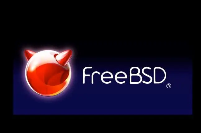 FreeBSD 将创建图形系统安装程序，以及改进音频堆栈