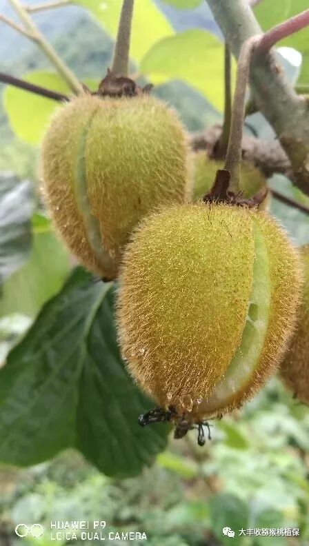 640?wx_fmt=jpeg&tp=webp&wxfrom=5&wx_lazy=1