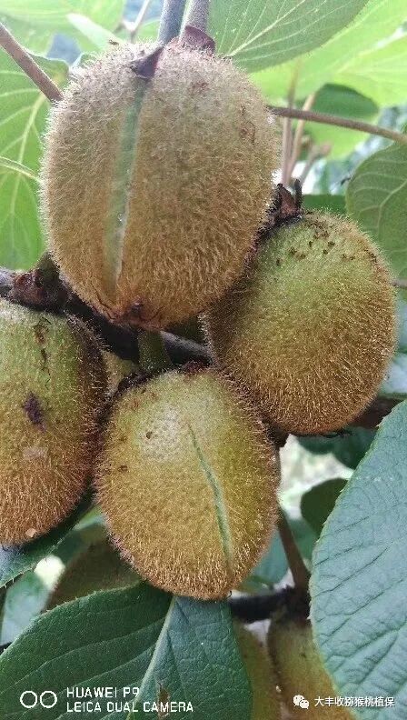 640?wx_fmt=jpeg&tp=webp&wxfrom=5&wx_lazy=1