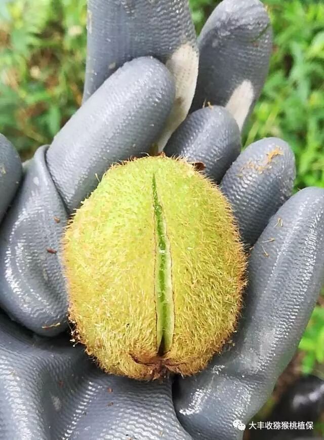 640?wx_fmt=jpeg&tp=webp&wxfrom=5&wx_lazy=1