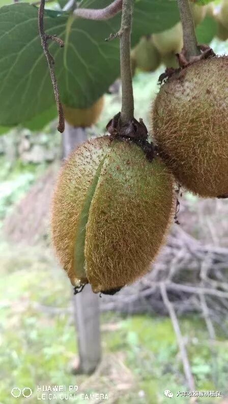 640?wx_fmt=jpeg&tp=webp&wxfrom=5&wx_lazy=1