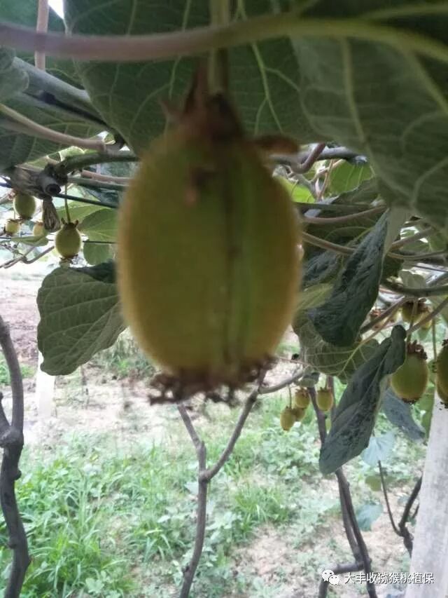 640?wx_fmt=jpeg&tp=webp&wxfrom=5&wx_lazy=1