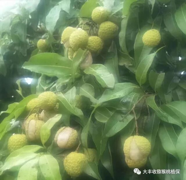 640?wx_fmt=jpeg&tp=webp&wxfrom=5&wx_lazy=1