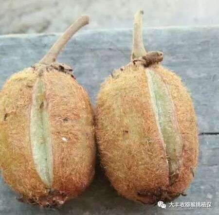 640?wx_fmt=jpeg&tp=webp&wxfrom=5&wx_lazy=1