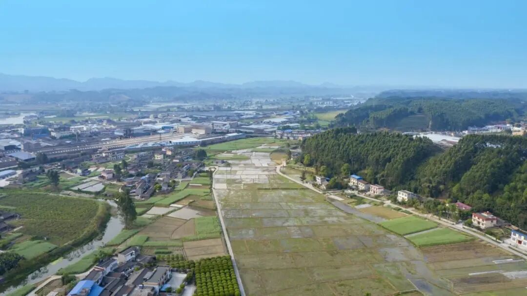 凤桥村是夹江县黄土镇的一个行政村,毗连东月村,程河村,天蓝水清,人杰