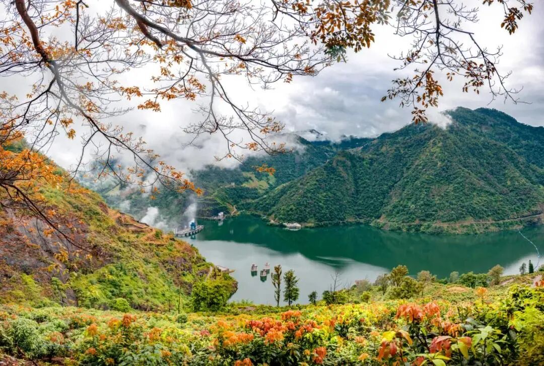 攀枝花广电传媒网