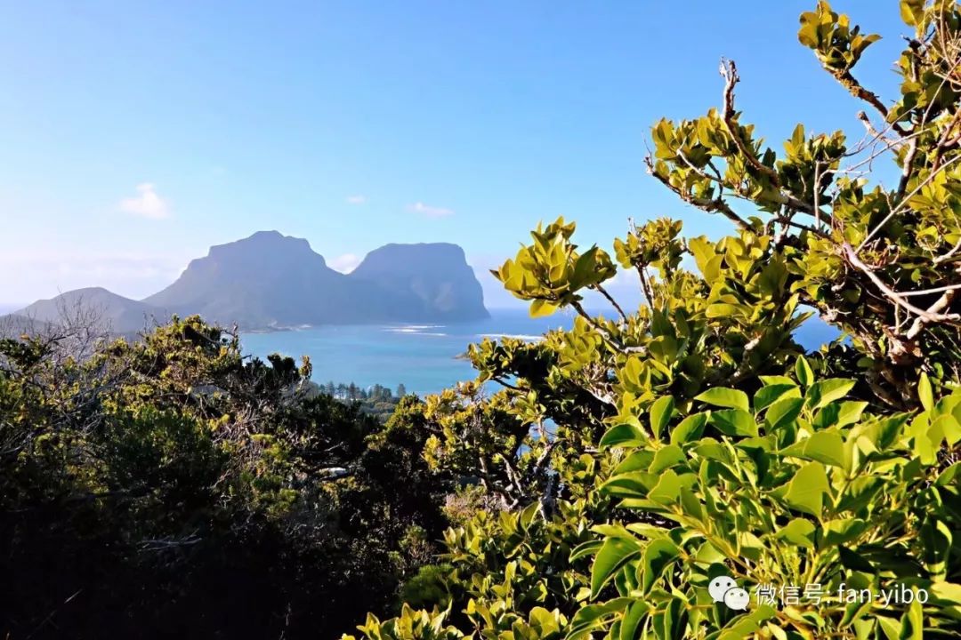 澳大利亚这座小岛，凭啥入选2020年孤独星球最佳旅行目的地
